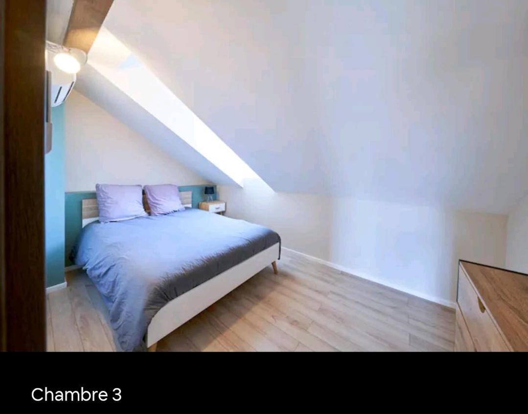 Loft Neuf Avec Bain Jacuzzi Et Terrasse Διαμέρισμα Κολμάρ Εξωτερικό φωτογραφία