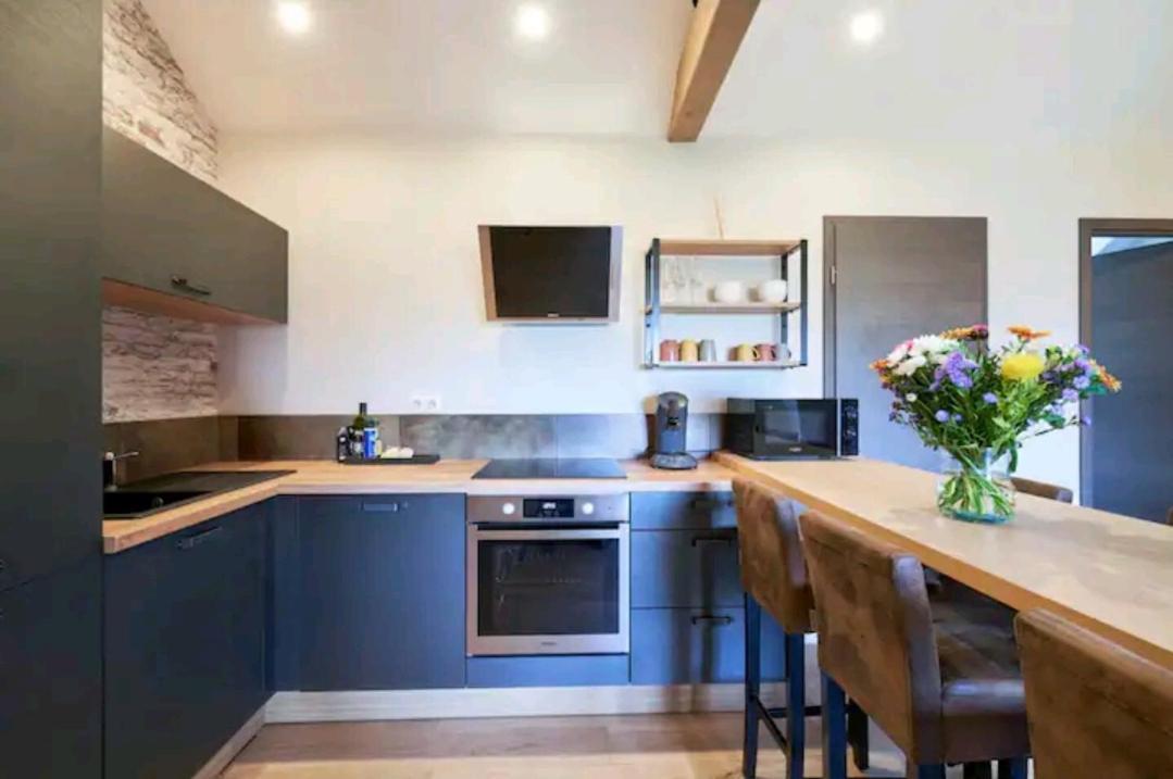 Loft Neuf Avec Bain Jacuzzi Et Terrasse Διαμέρισμα Κολμάρ Εξωτερικό φωτογραφία